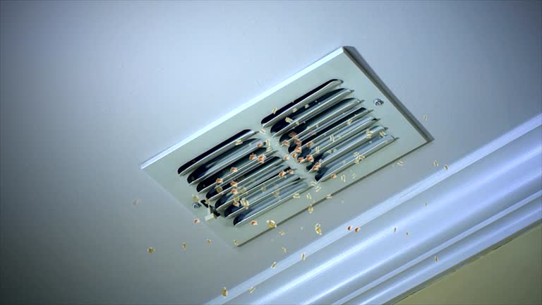 Best Air Duct Sanitizing Services  in Footville, WI